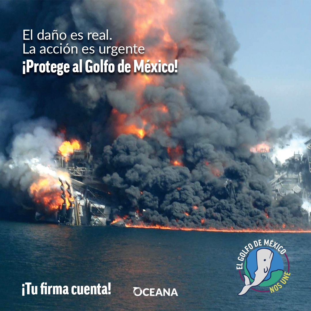 Oceana México Facebook ad: Golfo de México