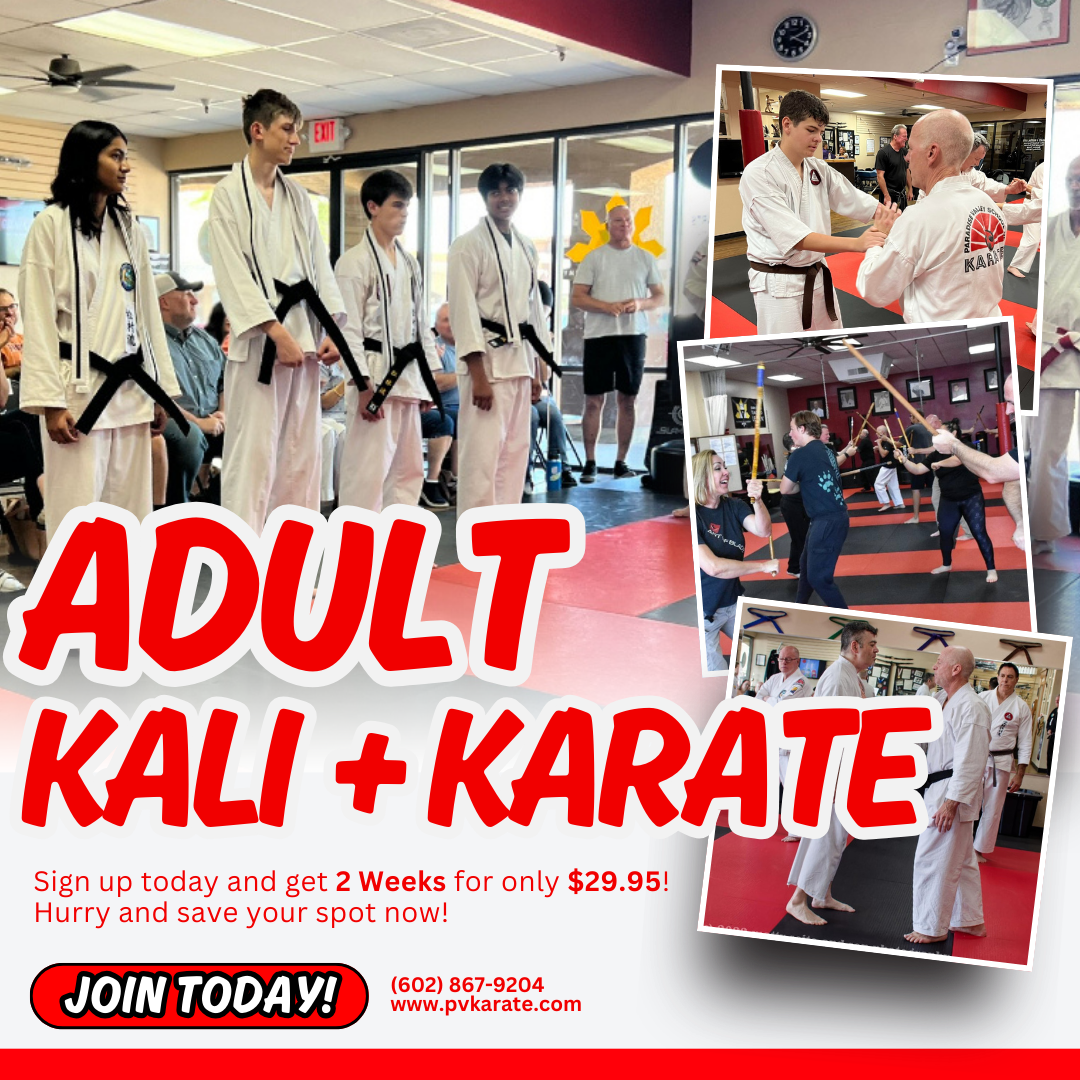 Paradise Valley School of Karate Facebook ad
