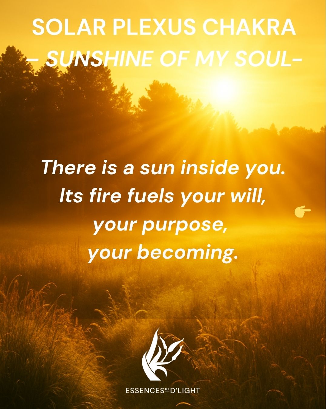Essences of D'Light Facebook ad: There is a quiet power within you