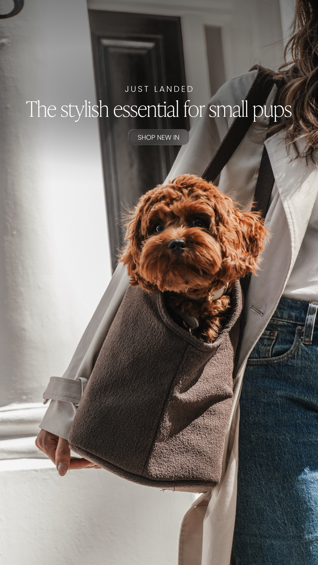 By Teddy Facebook ad