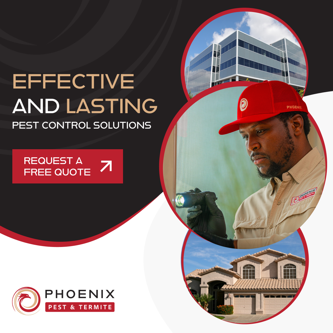 Phoenix Pest & Termite Control Facebook ad from Jun 12, 2026