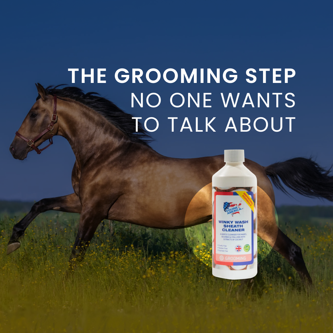 Equine America UK Ltd Facebook ad
