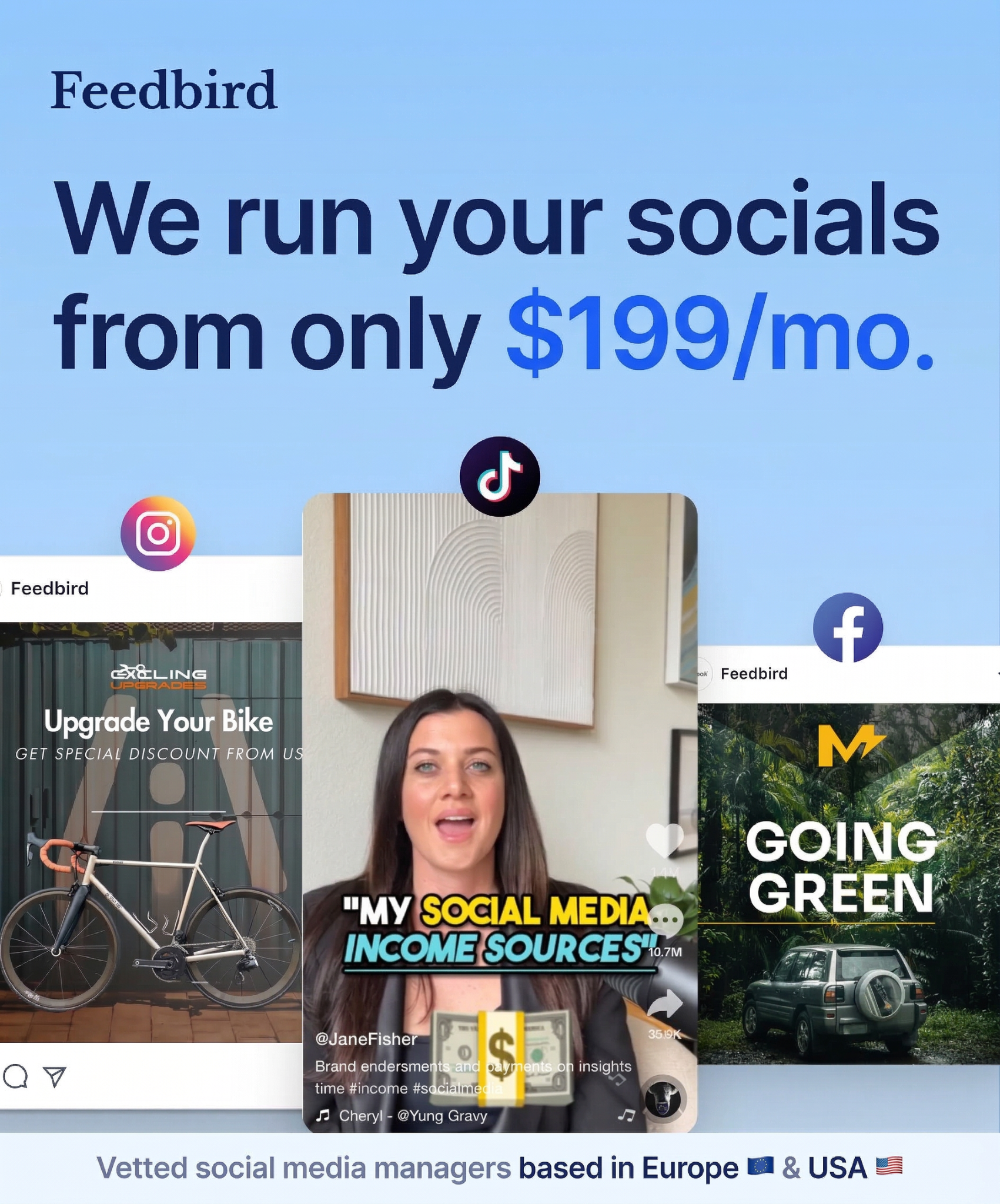 Feedbird Facebook ad