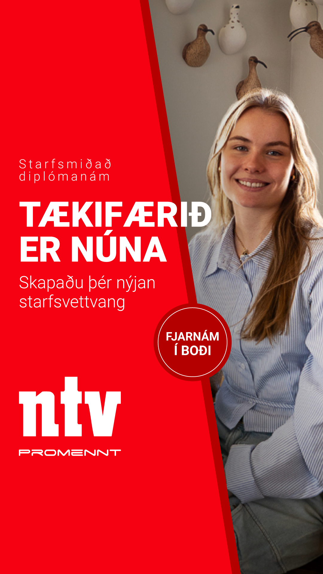 NTV Promennt Facebook ad from Feb 3, 2026