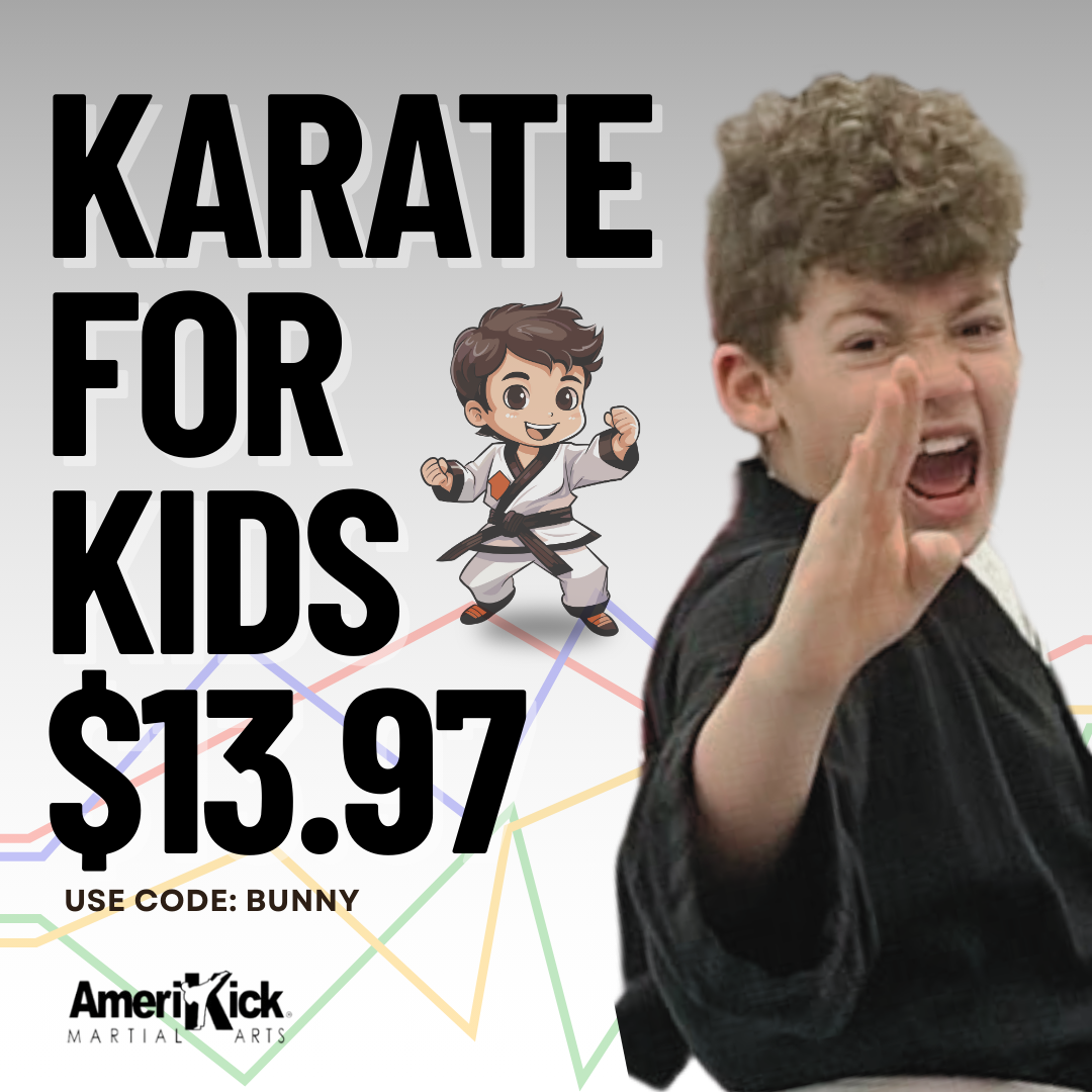 Amerikick Martial Arts Facebook ad