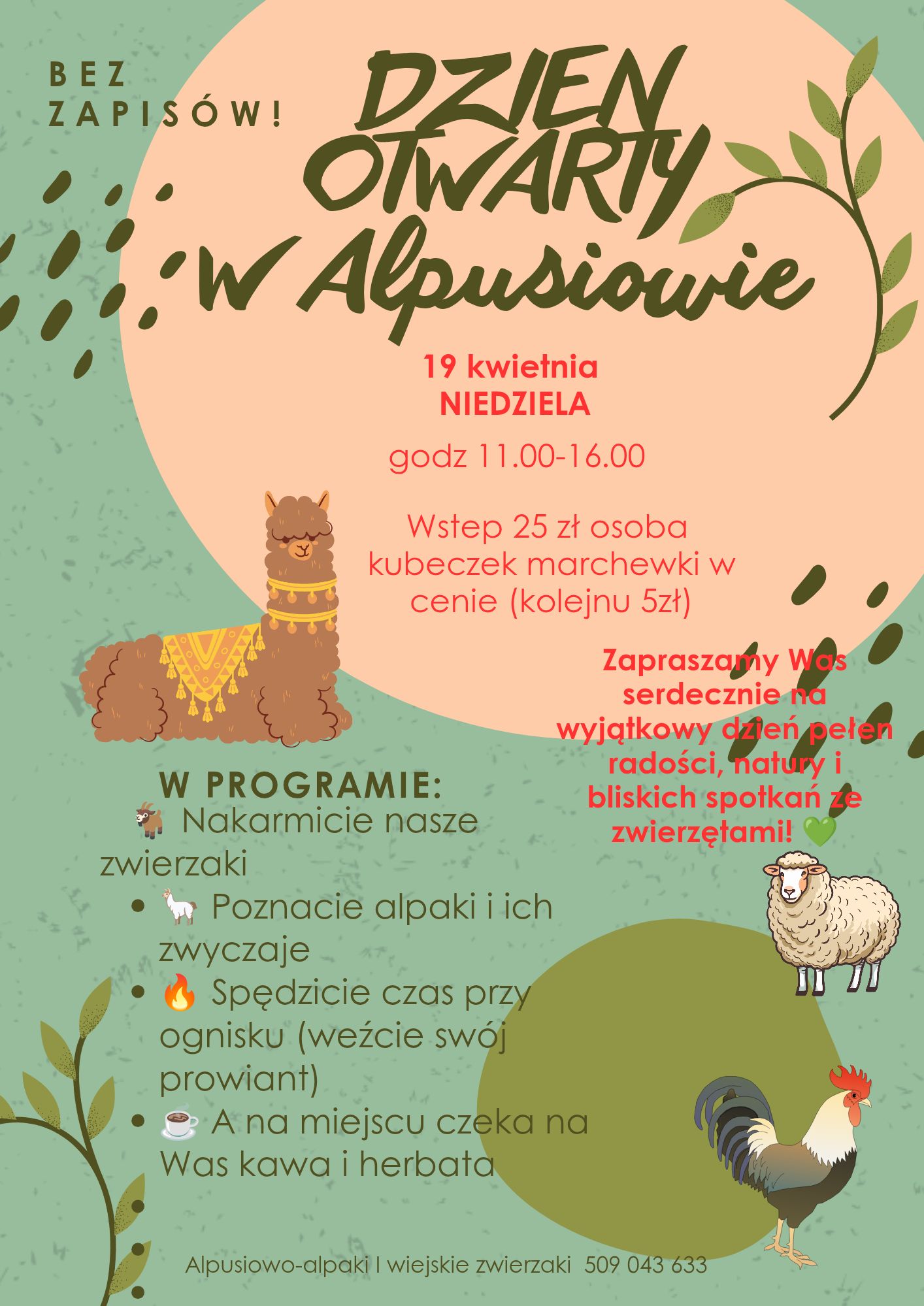 Alpusiowo-alpaki i wiejskie zwierzaki Facebook ad from Apr 16, 2026