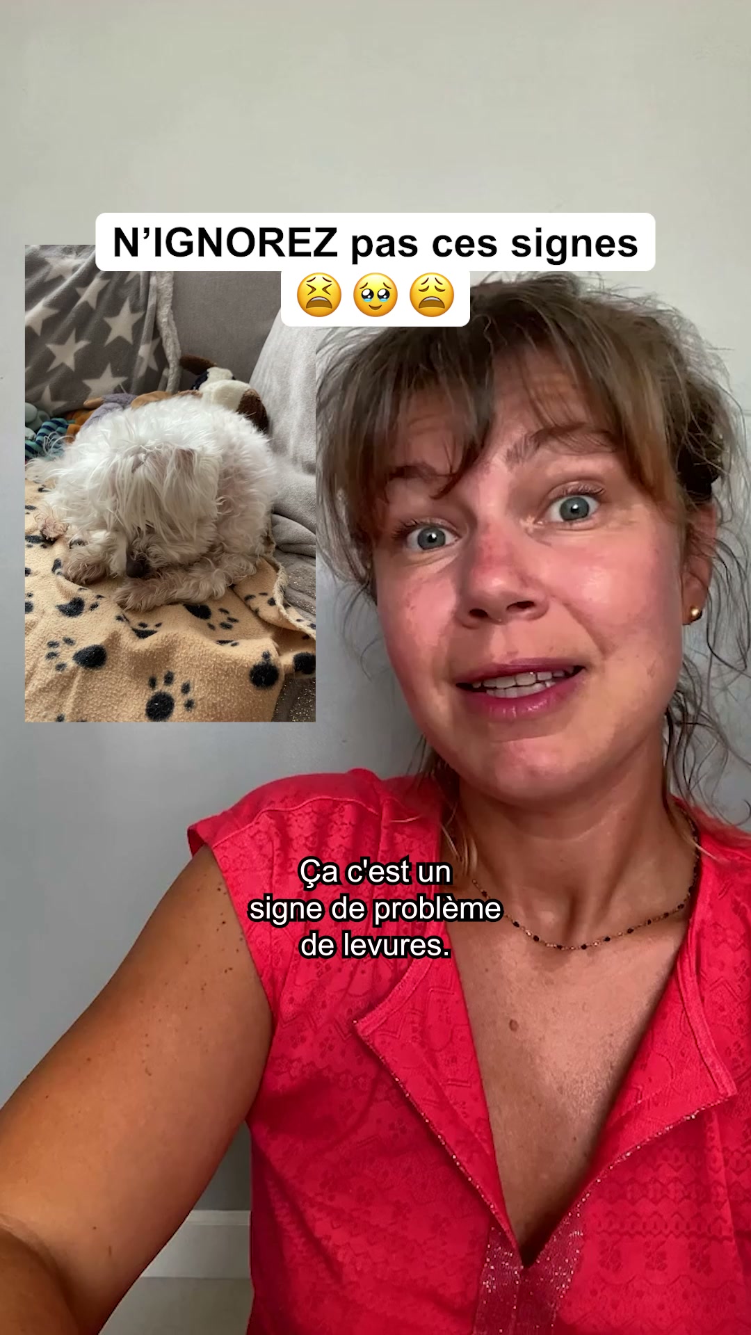 Réglo Facebook ad: Léchages + grattages + tête secouée: pensez aussi aux…
