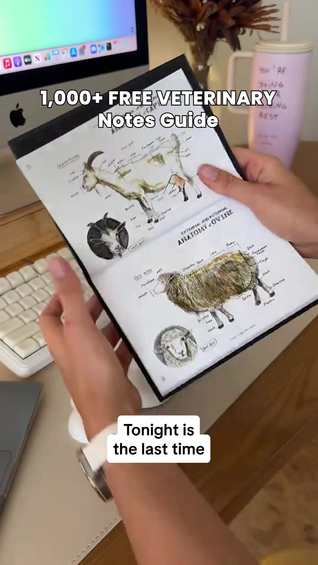 VetMaster Academy Facebook ad: Free 1,000+ Veterinary Notes Bundle