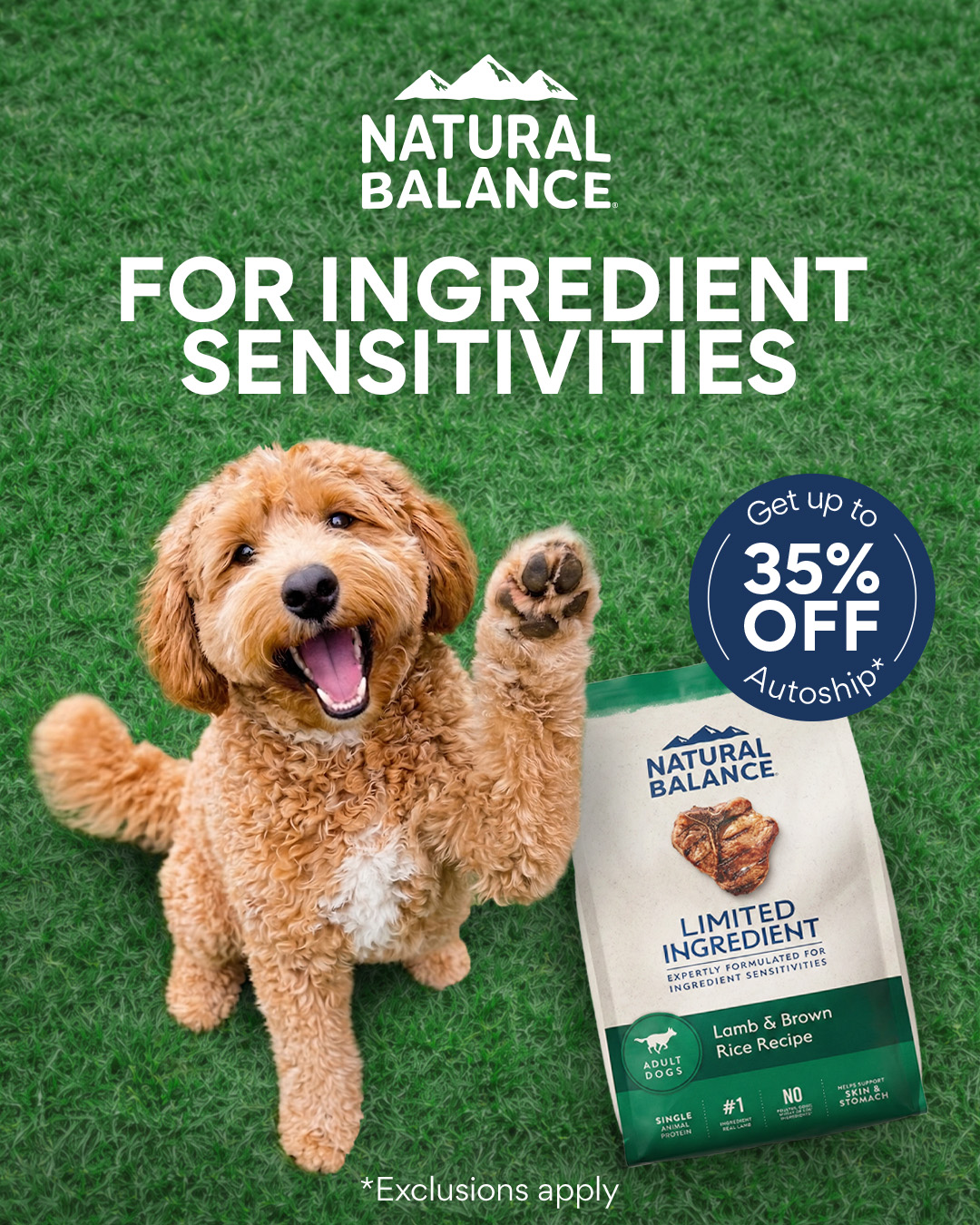 Chewy Facebook ad