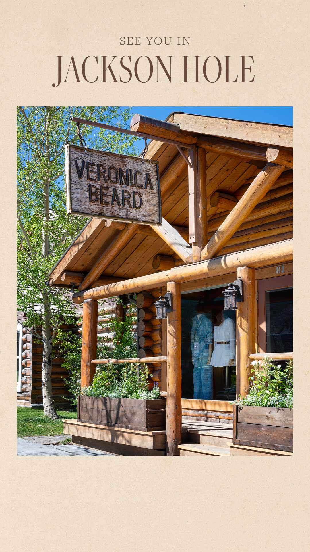 Veronica Beard Facebook ad