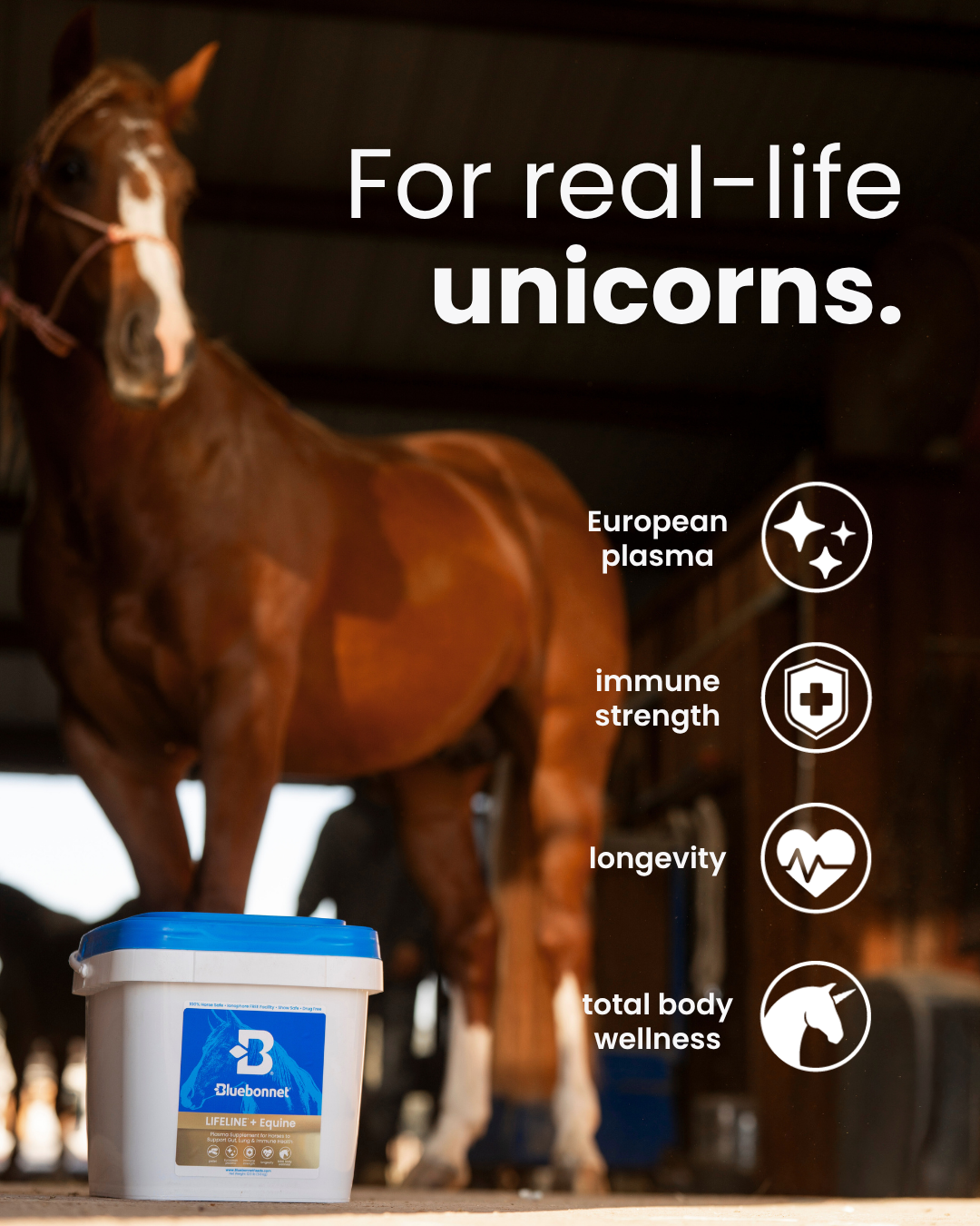 Bluebonnet Facebook ad