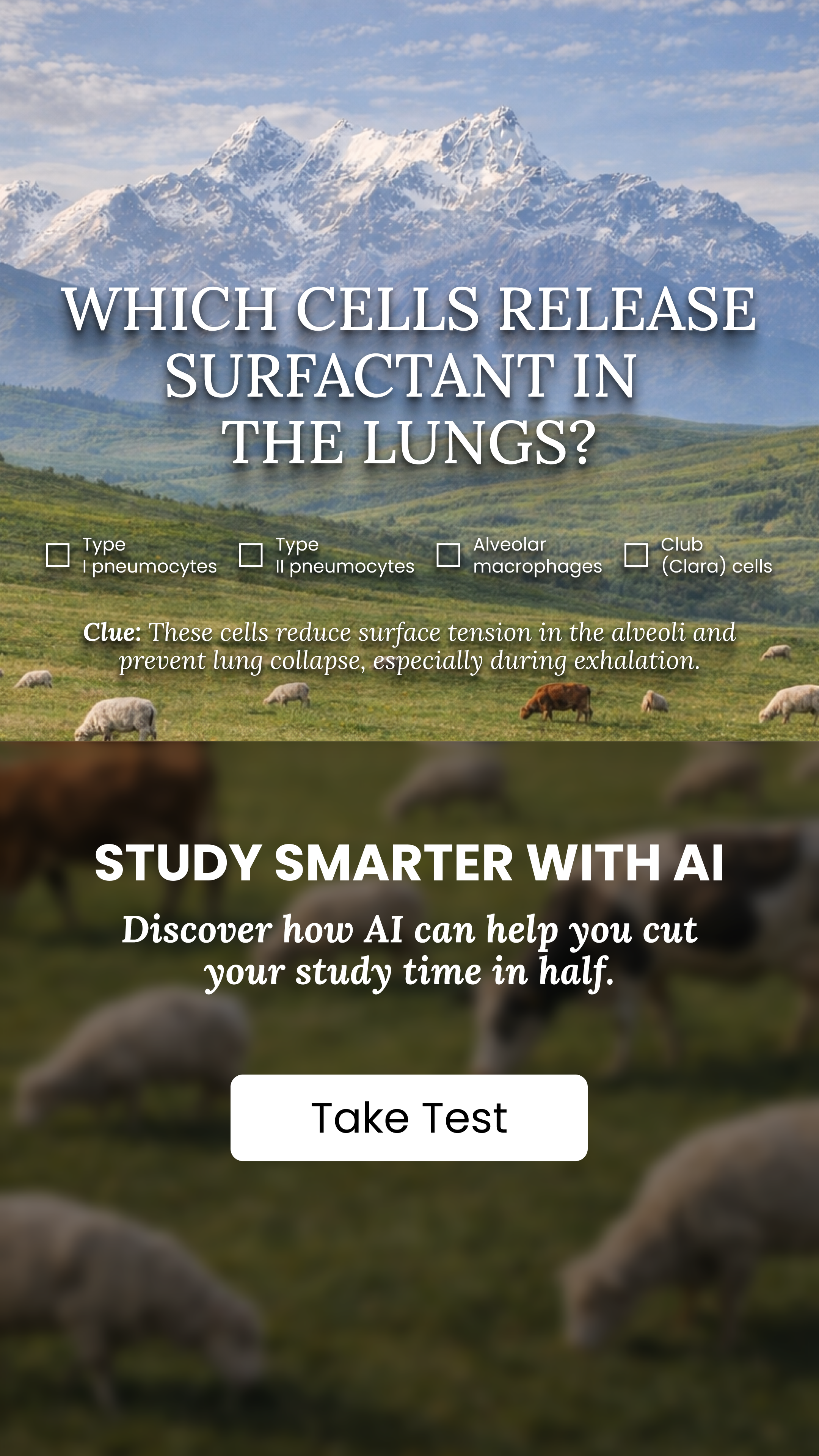 Justdone: All-in-one AI tool  Facebook ad