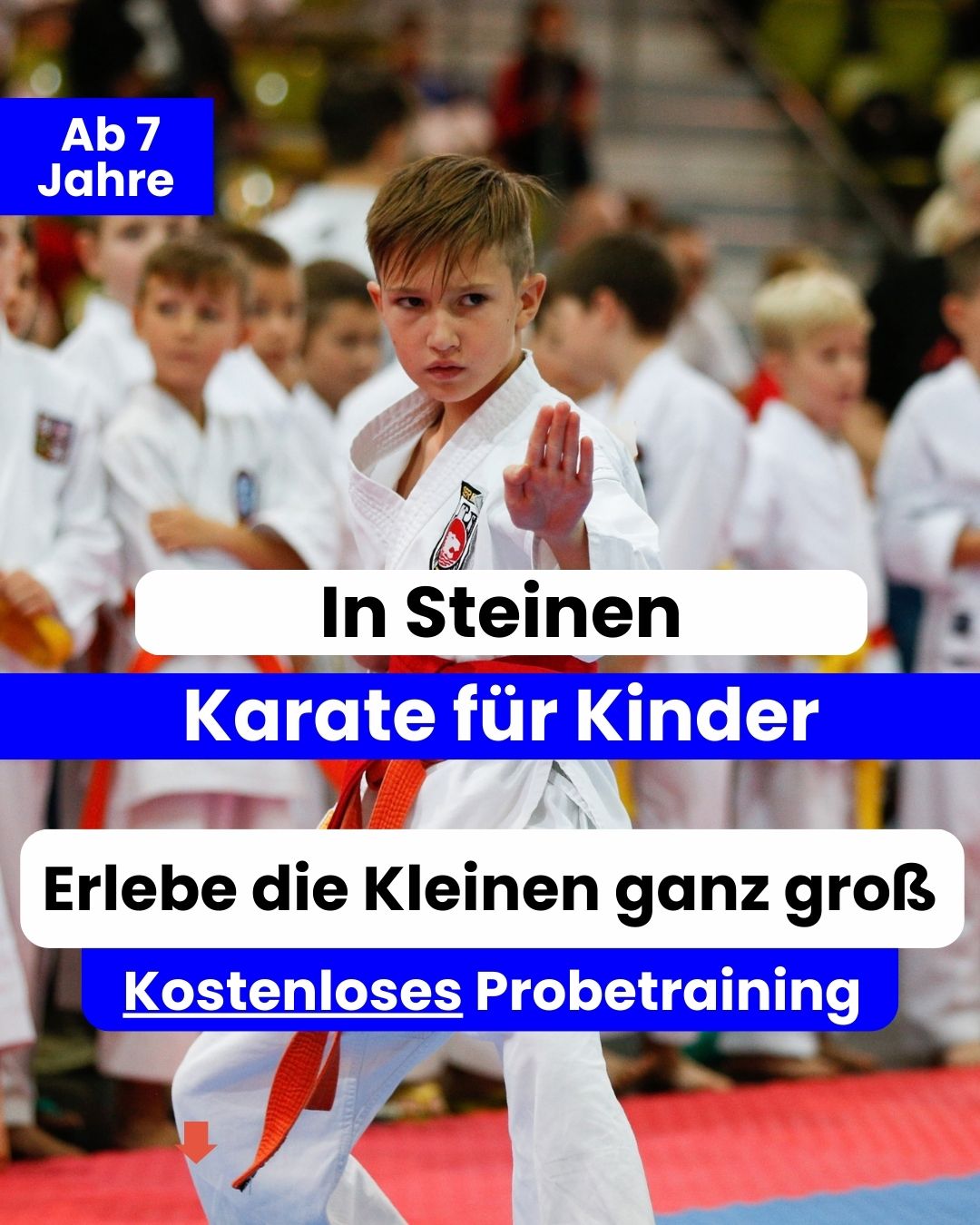 Budocenter Steinen-Maulburg-Wiesental Facebook ad from Jun 11, 2026