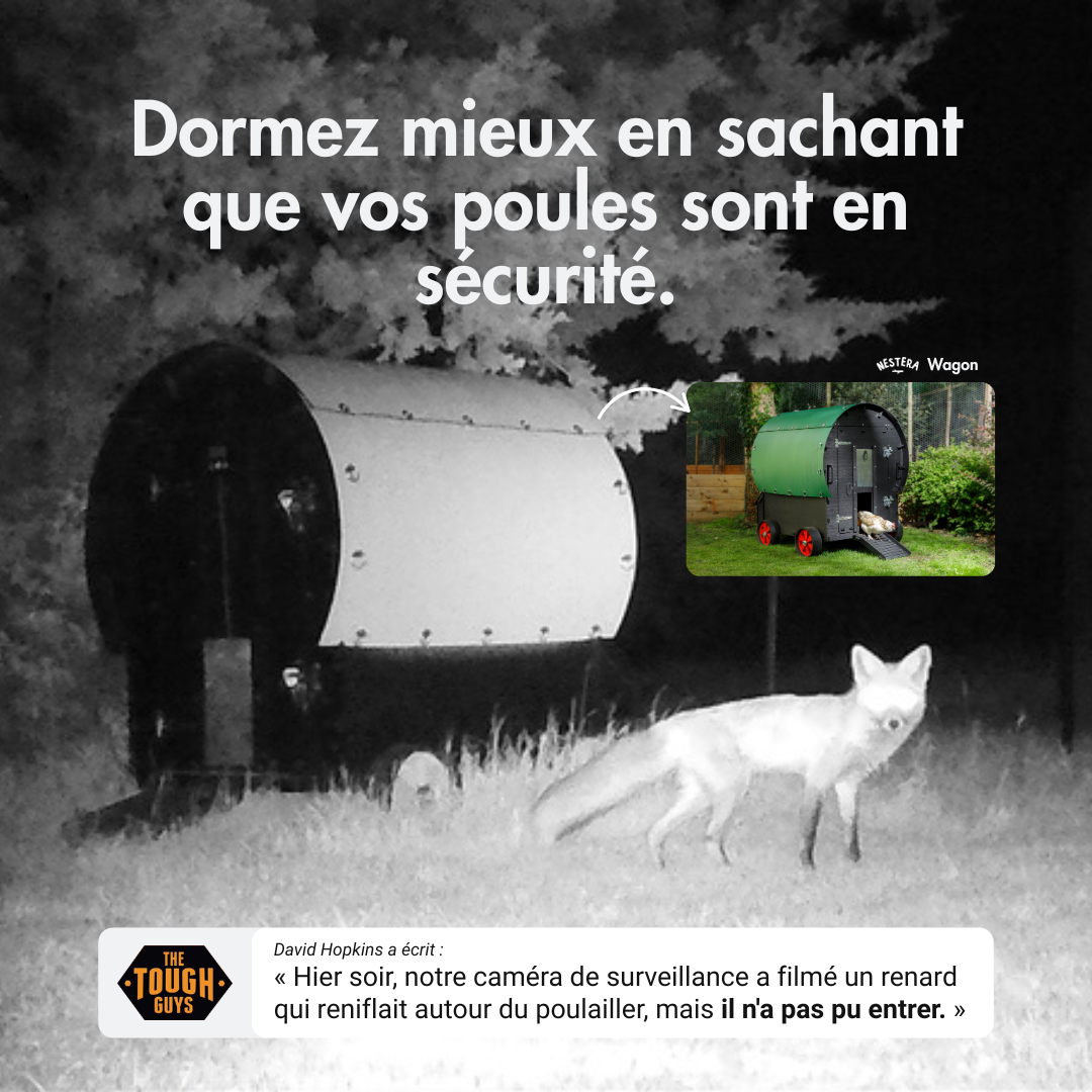 Nestera Benelux Facebook ad: À l’épreuve des prédateurs, approuvé par les poules