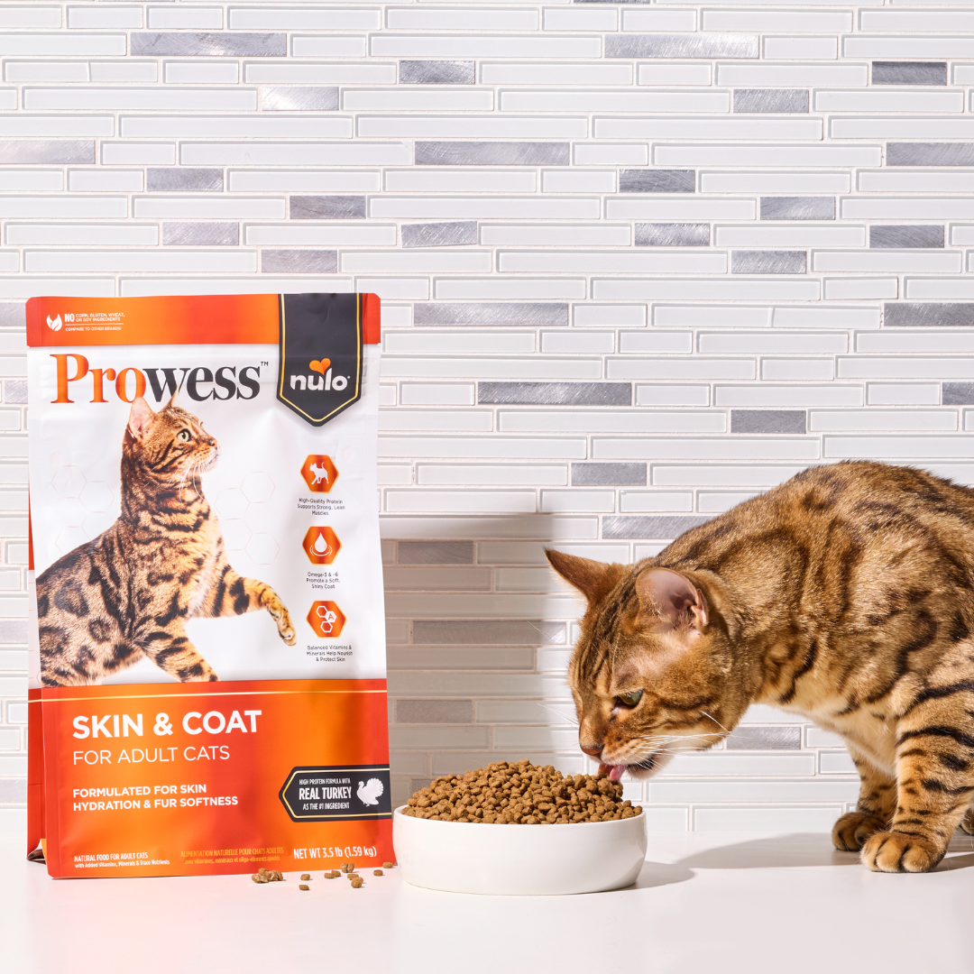 Nulo Pet Food Facebook ad: Raising The Bar In Science-Led Nutrition
