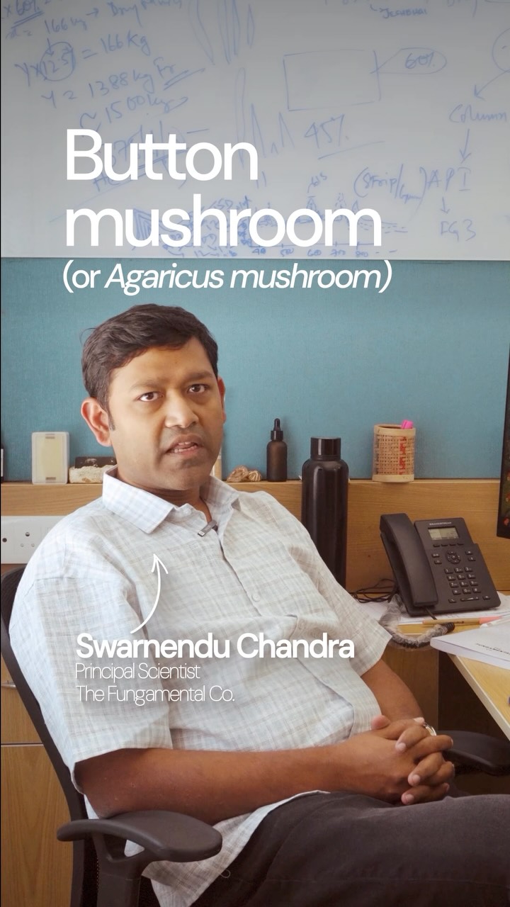 The Fungamental Co. Facebook ad: Functional mushrooms sounds a lot more mysterious than…