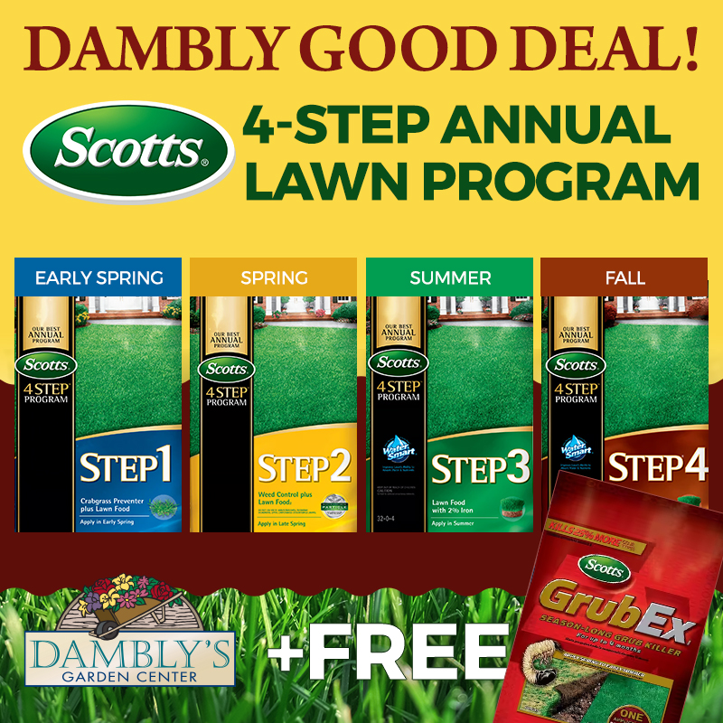 Dambly's Garden Center Facebook ad
