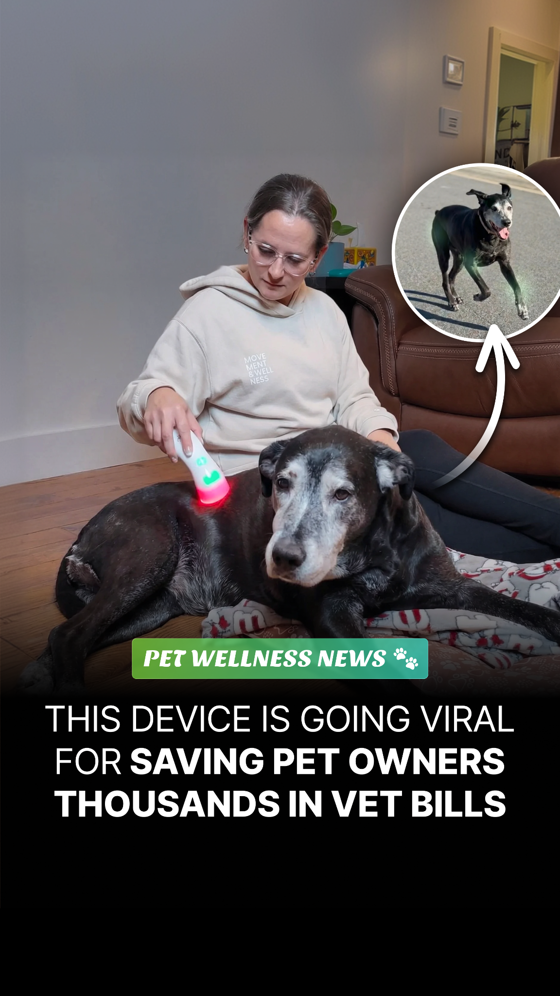 Helio Pet Facebook ad
