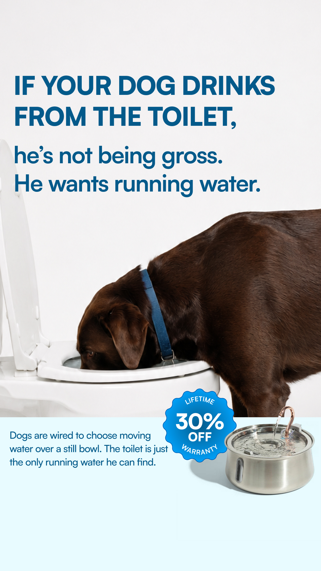 Rhykin Pet Co Facebook ad