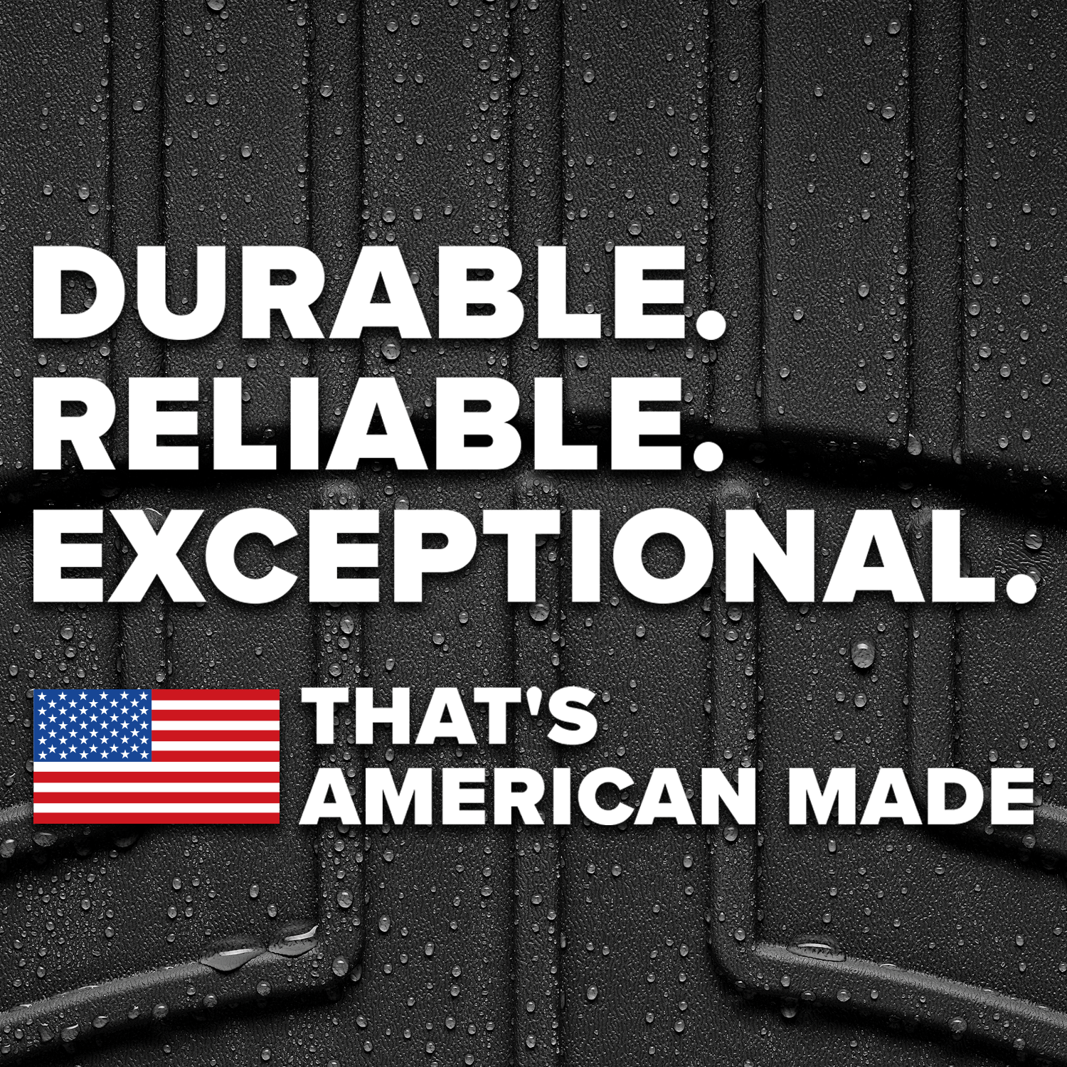WeatherTech Facebook ad