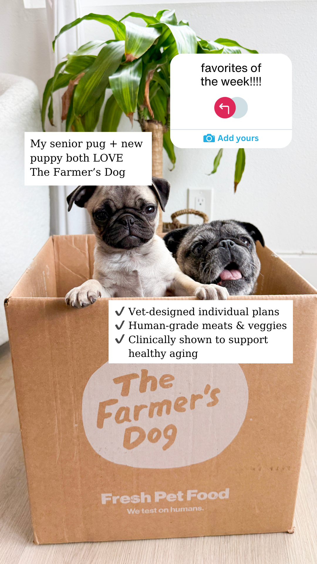 KayleeSimmons Facebook ad from Feb 26, 2026