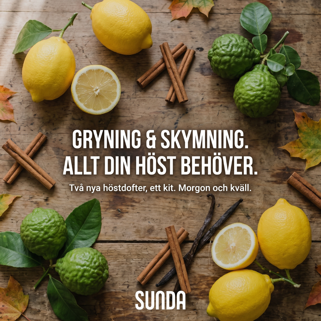 Sunda Facebook ad