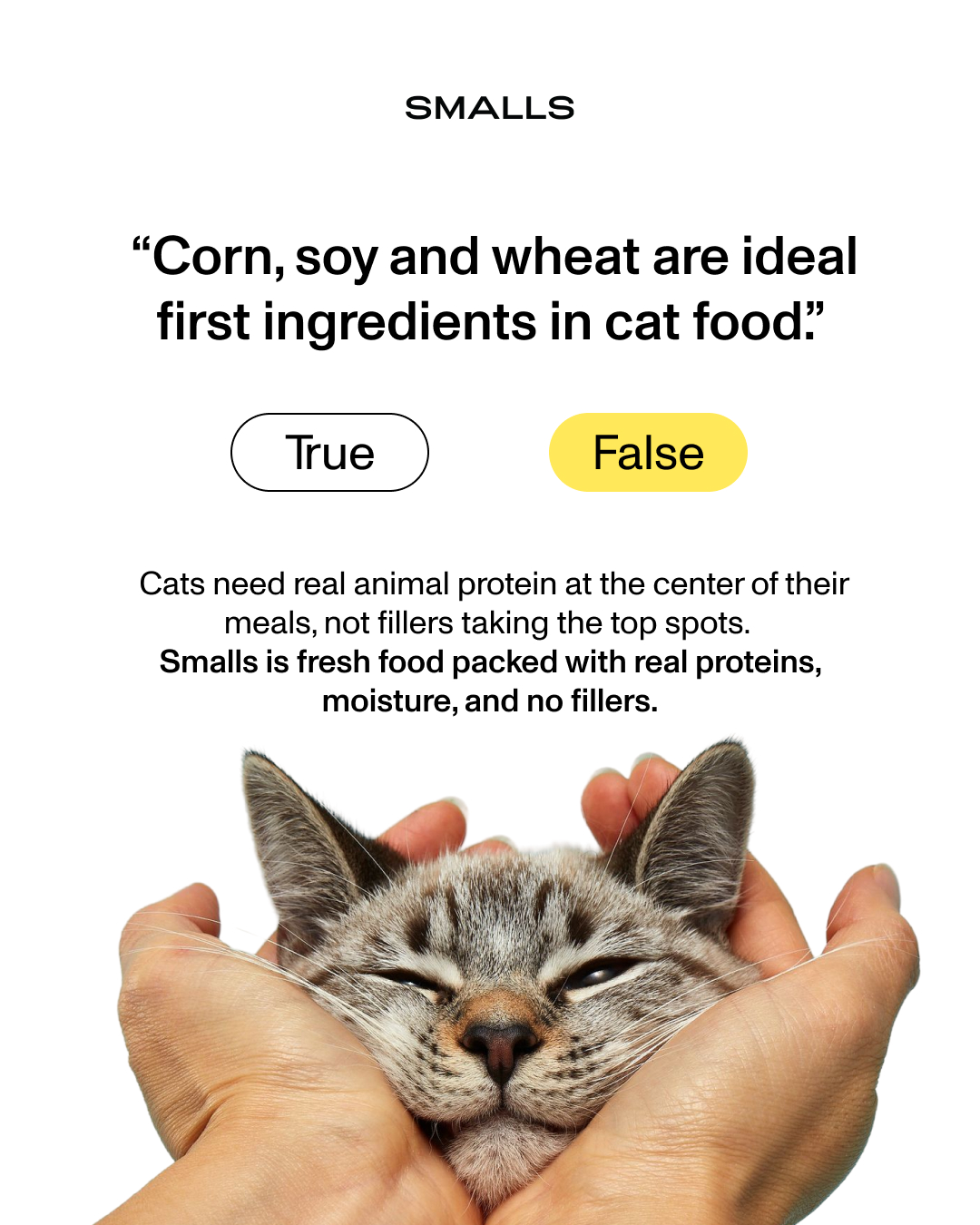Smalls Facebook ad: Human-Grade Fresh Cat Food