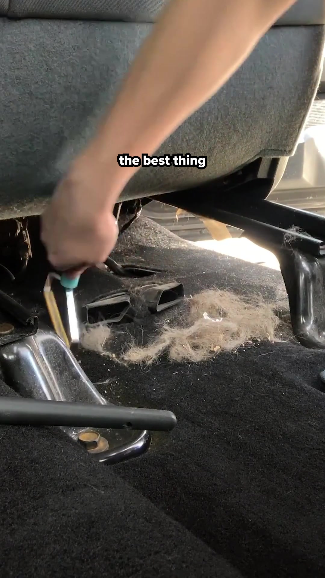 Uproot Clean Facebook ad: The #1 Pet Hair/Lint/Dust Cleaner