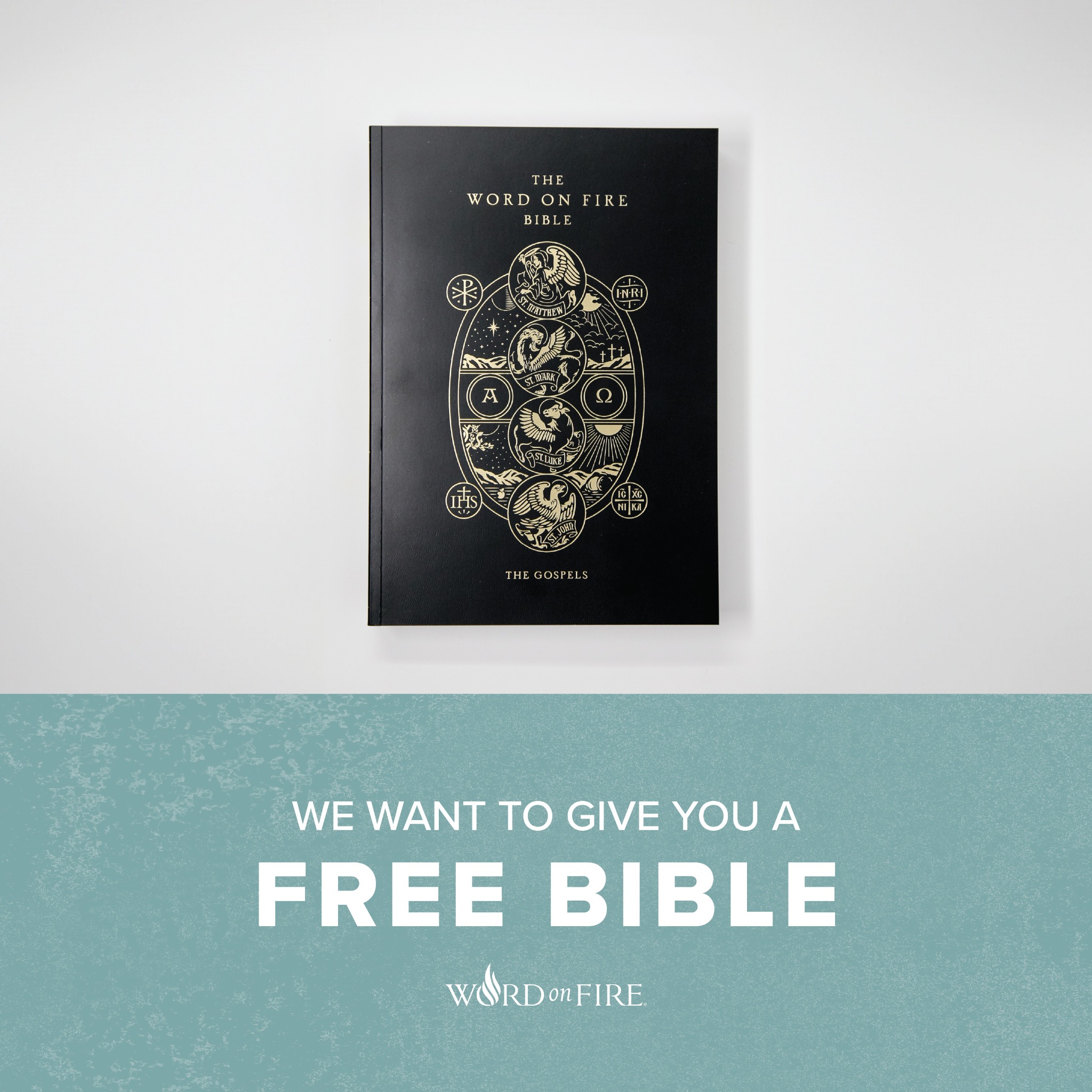 Bishop Robert Barron Facebook ad