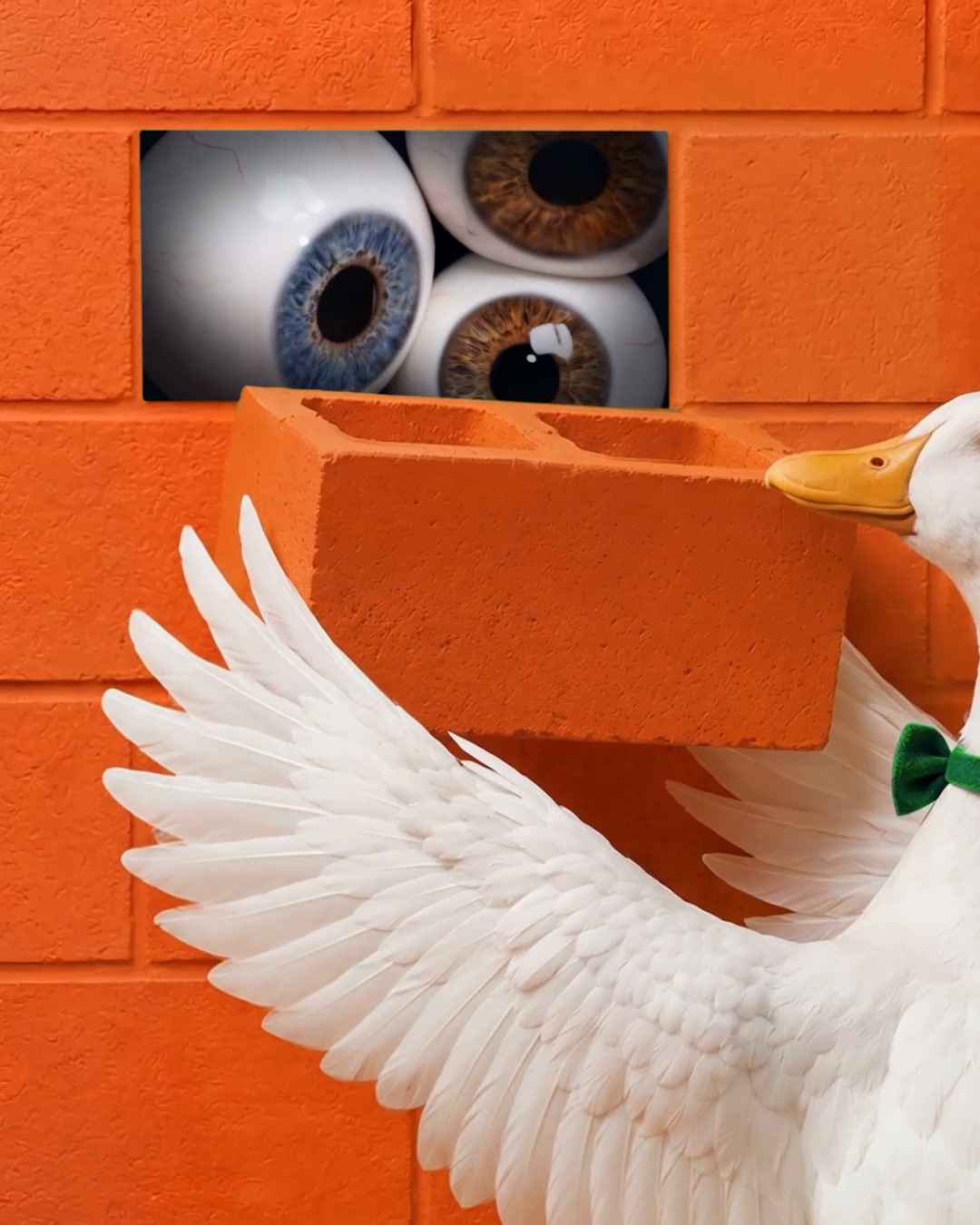 DuckDuckGo Facebook ad: Duck.ai. Private AI chat. Free.