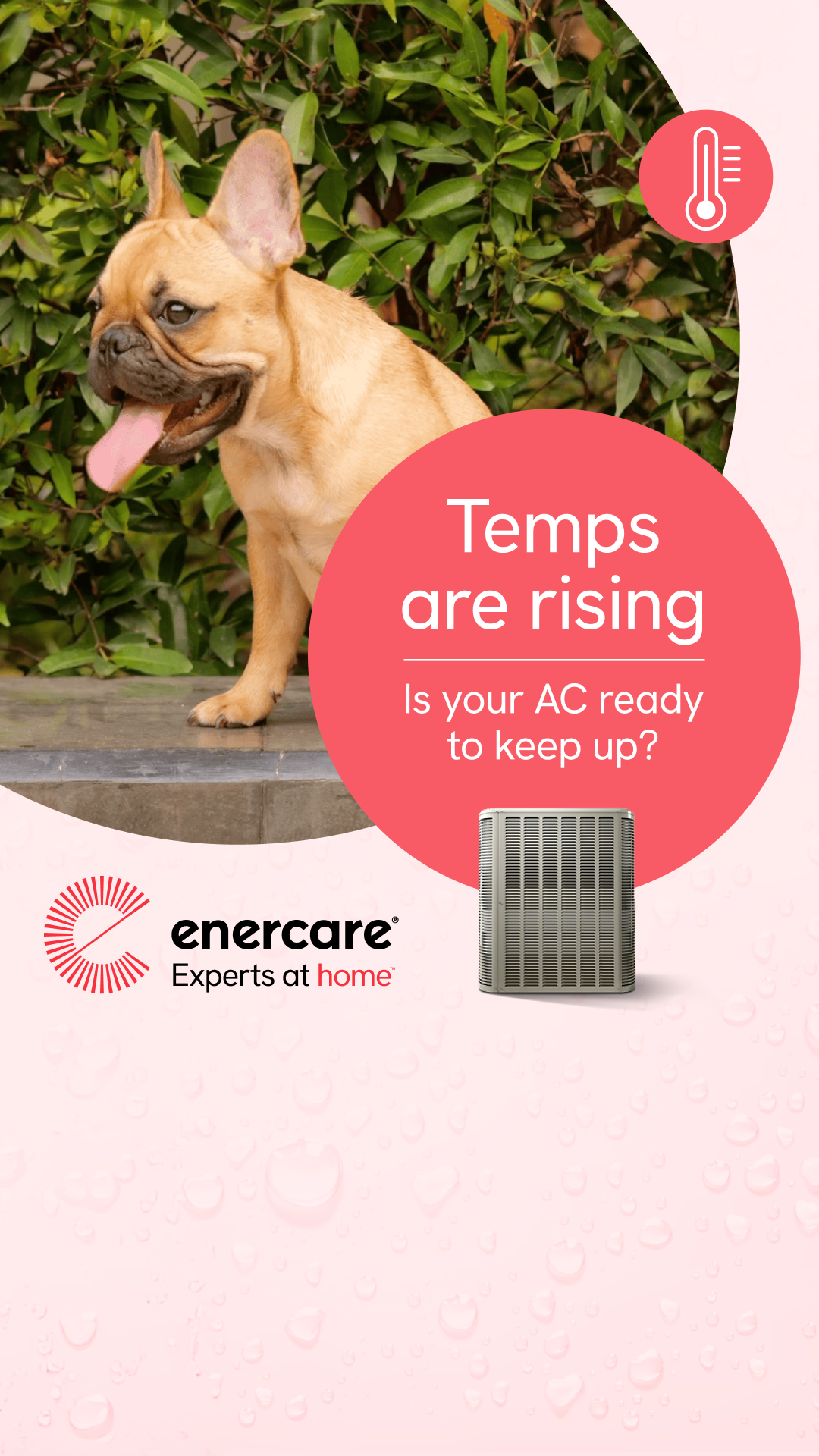 Enercare Facebook ad