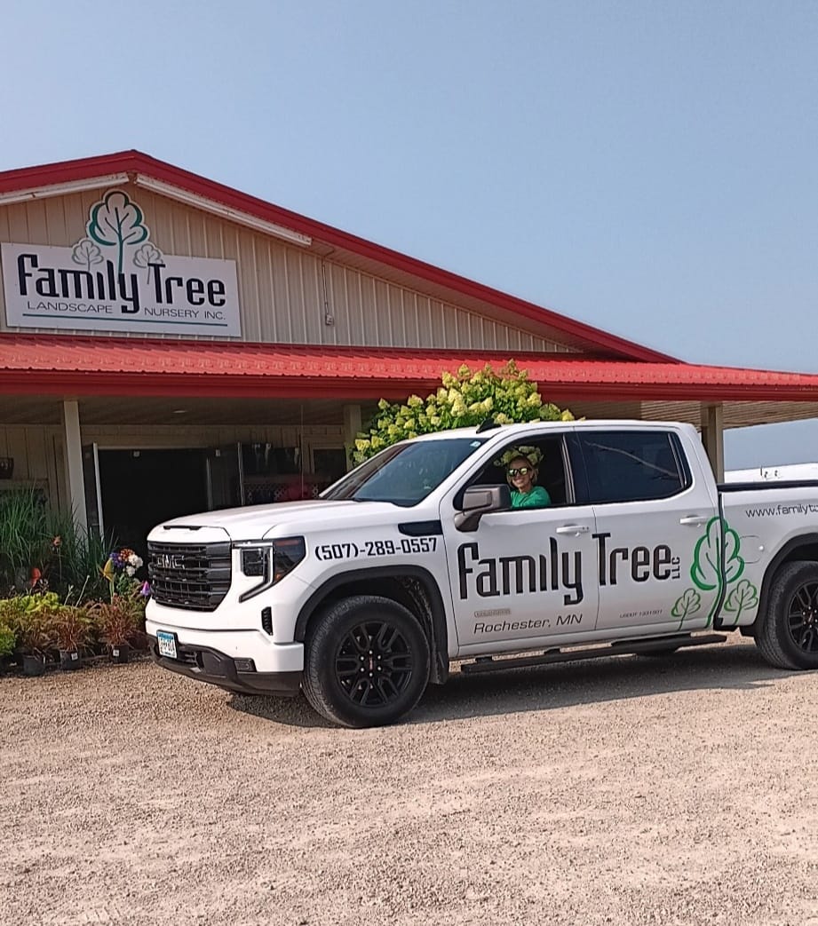 Family Tree Facebook ad: Dreaming about upgrading your outdoor space?