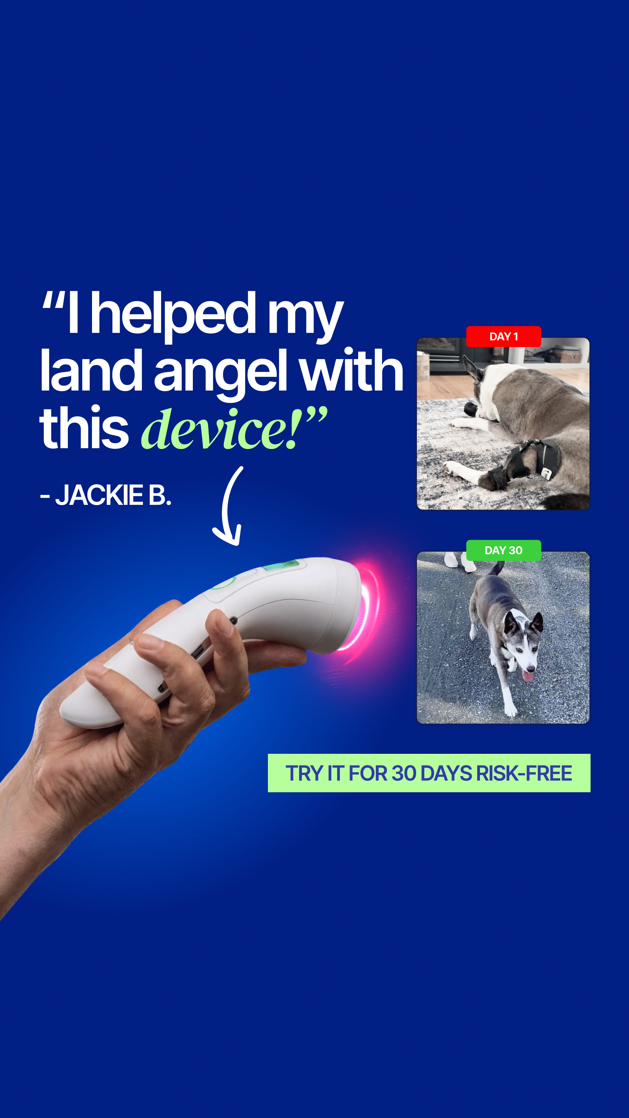 Helio Pet Facebook ad