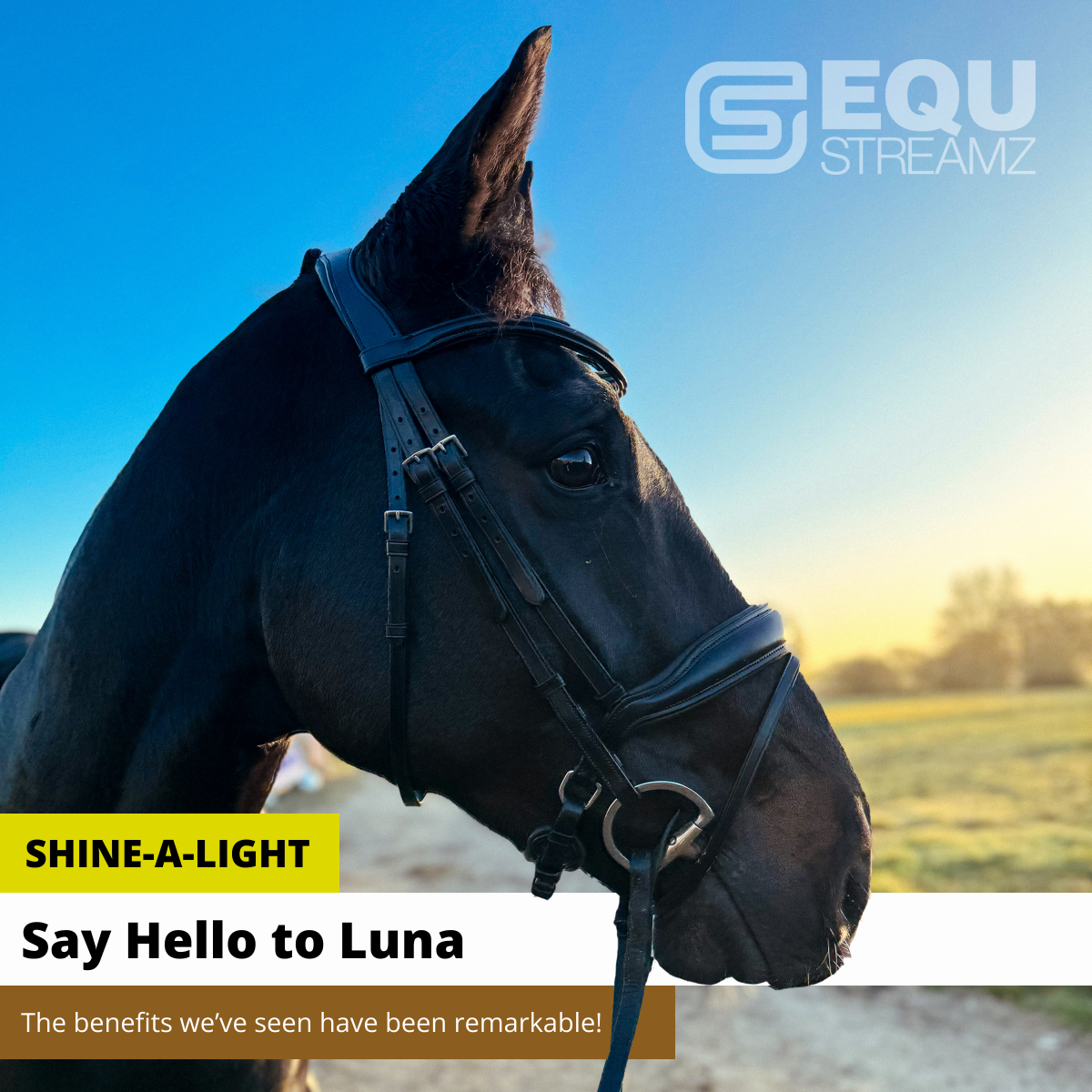 EQU StreamZ Facebook ad