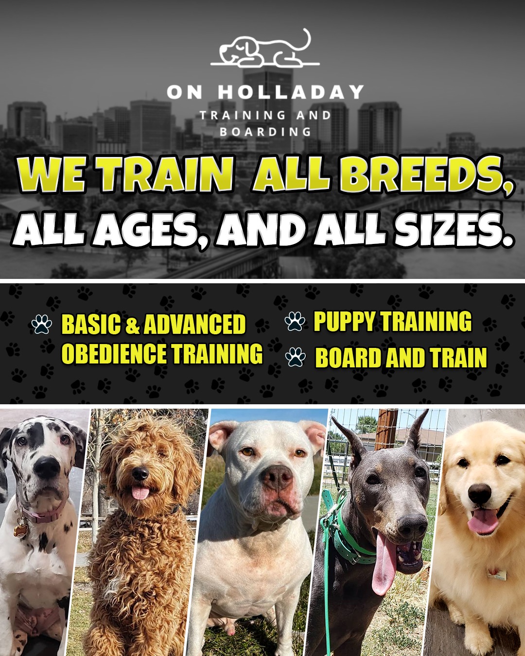 On Holladay Dog Training & Boarding Facebook ad from Feb 11, 2026