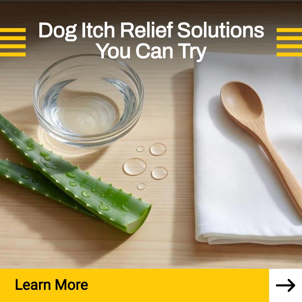 SearchArena Avenue Facebook ad: Explore Remedies For Dog Itch