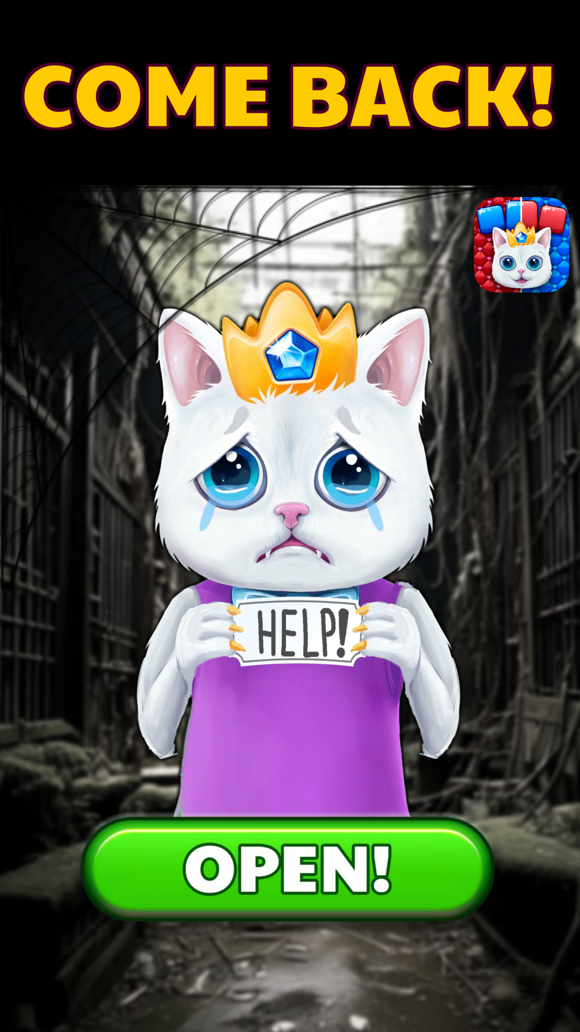 Royal Cat Puzzle Facebook ad