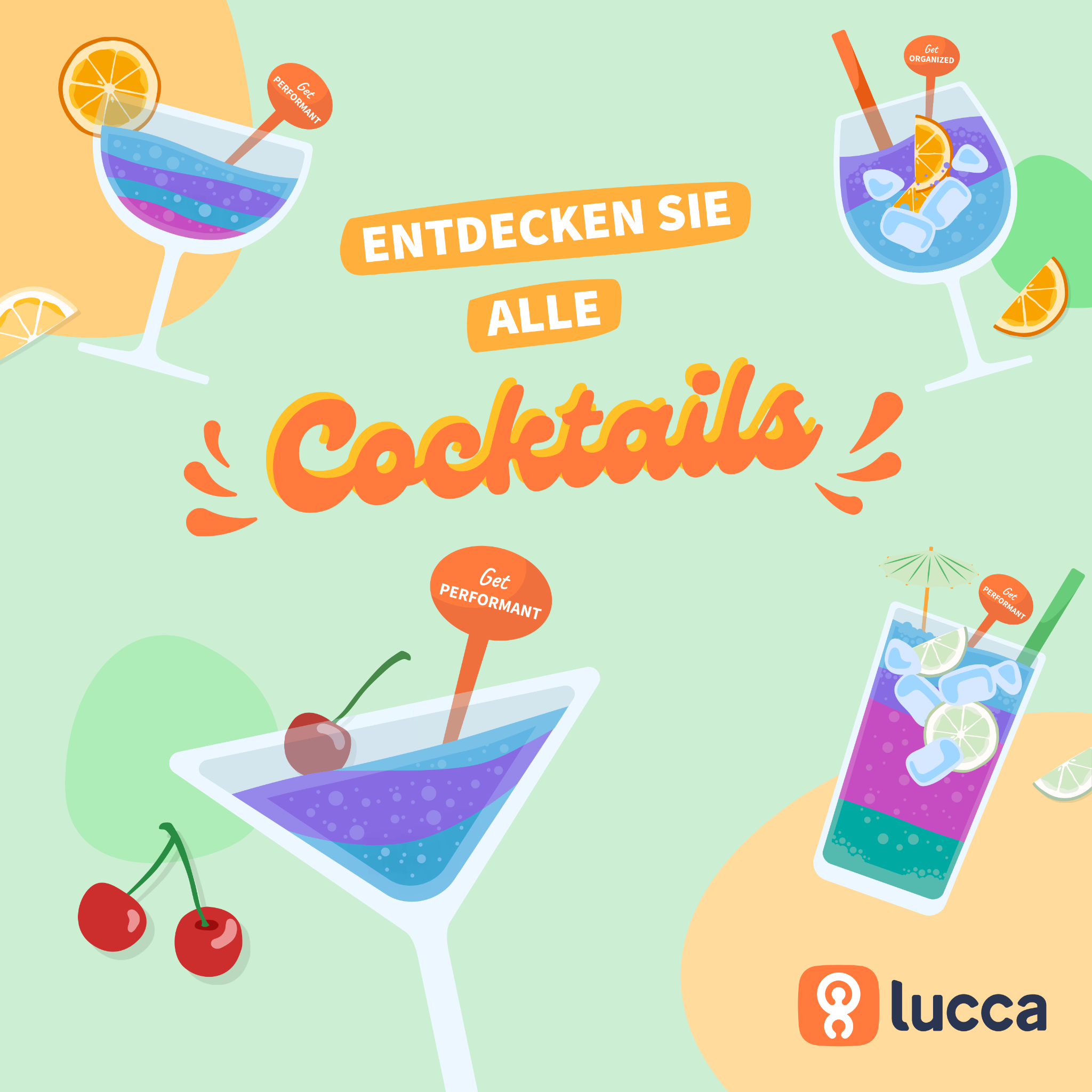 Lucca Software Facebook ad
