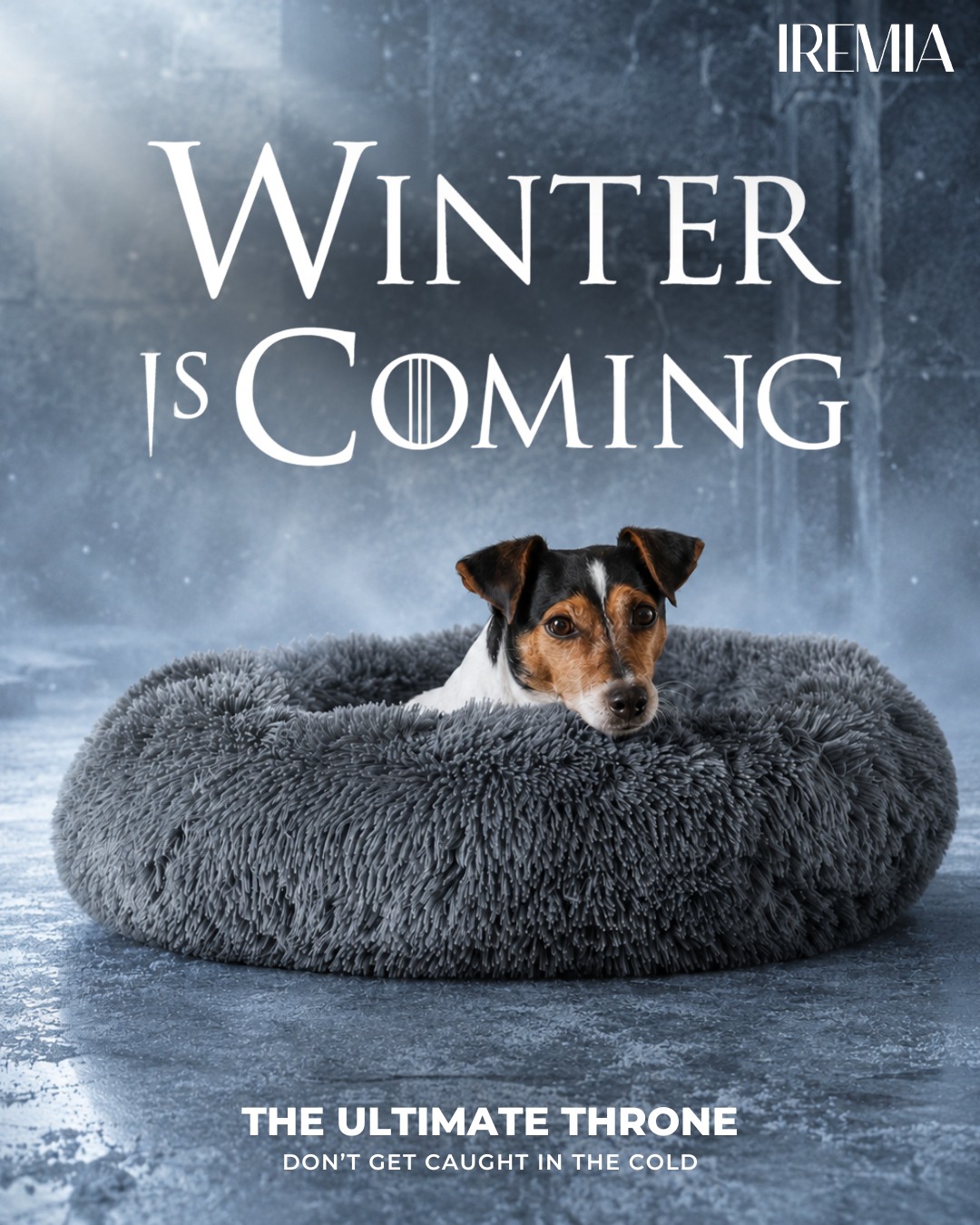 PetsPlanet Facebook ad