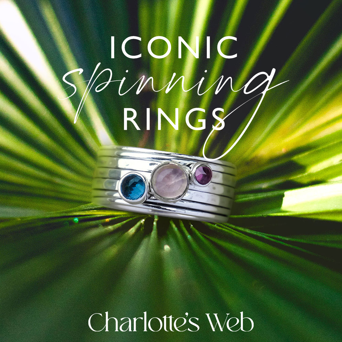 Charlotte's Web Jewellery Facebook ad: Our most loved spinning rings have been given…