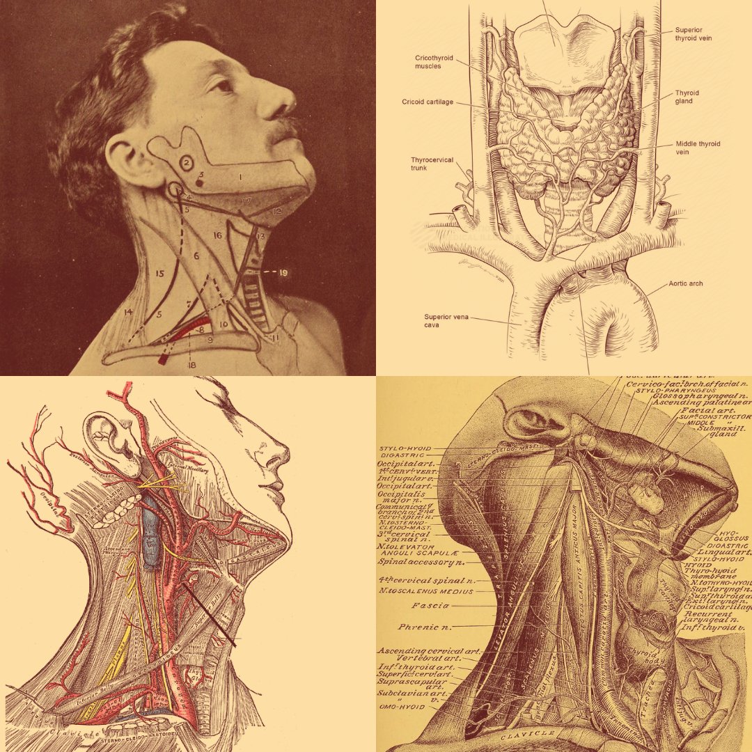 Dr. Dwight Brennan Facebook ad: Reactivate your body.