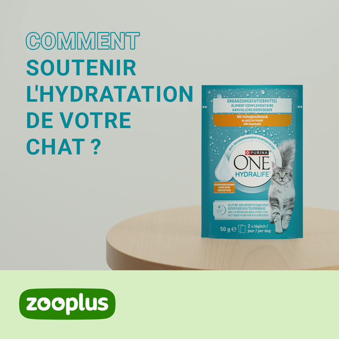 zooplus Facebook ad