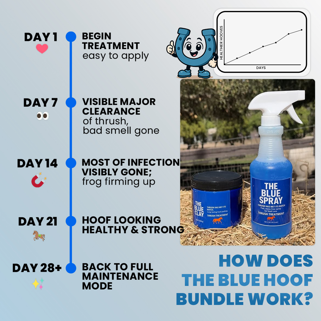 The Blue Spray Facebook ad: Faster Thrush Removal with Results by Morning.