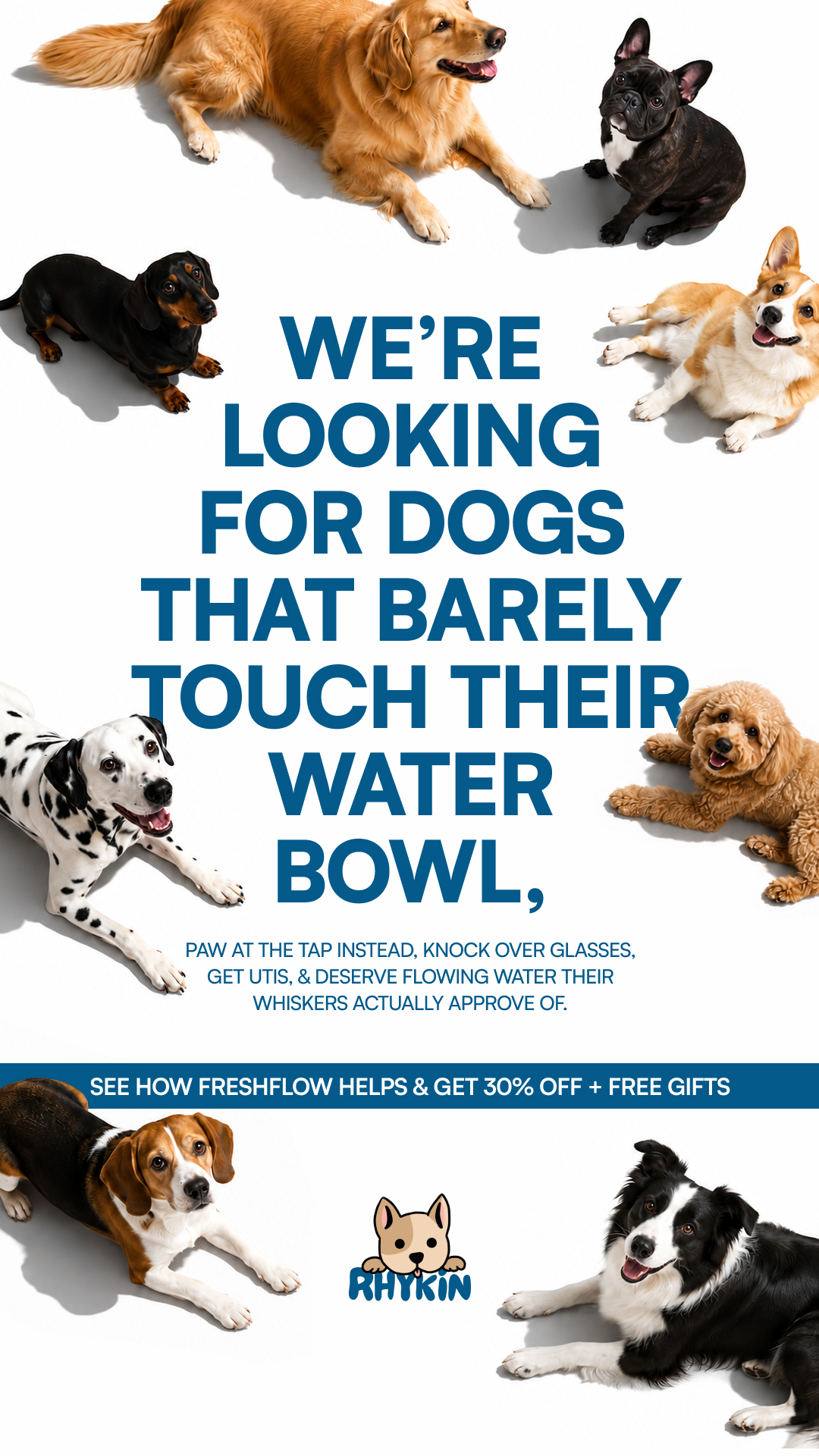 Rhykin Pet Co Facebook ad