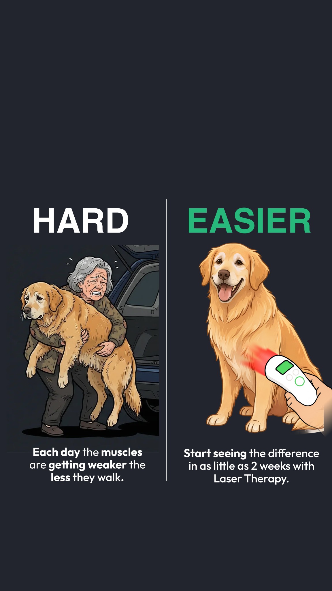 Helio Pet Facebook ad