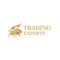 International Trading Experts