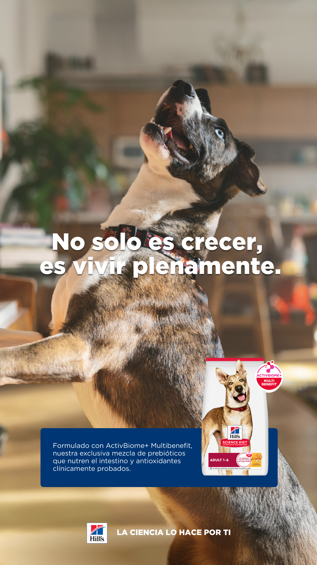 Hill's Pet Perú Facebook ad