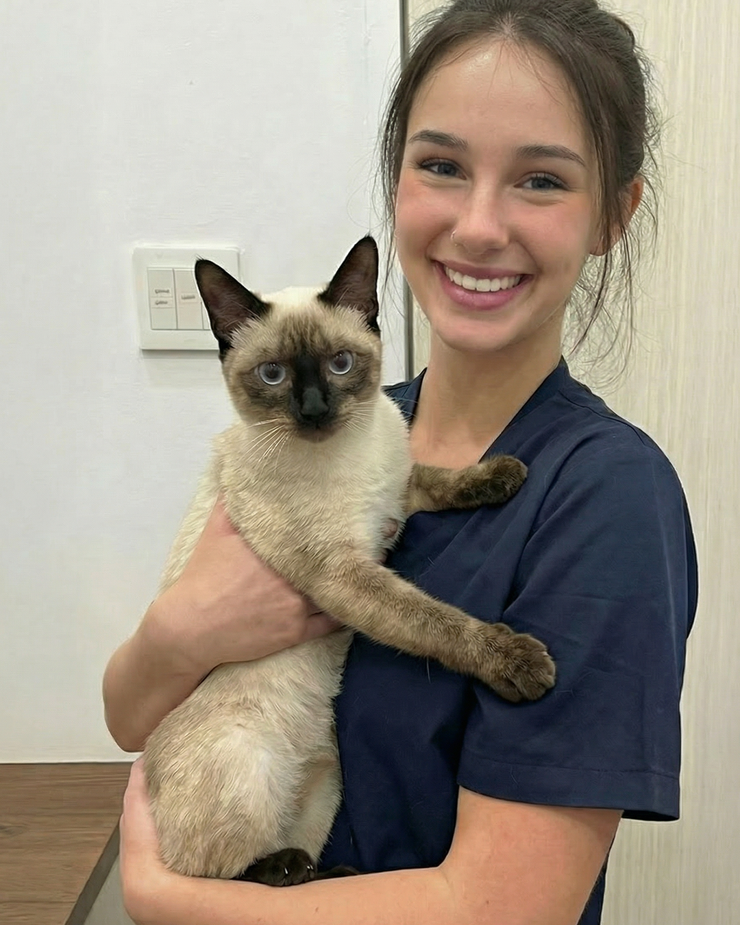 The Cattery Network Facebook ad: Truth About Siamese Cats and DCM…