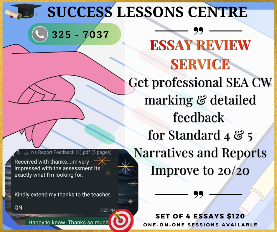 Success Lessons Centre Facebook ad: Expert Essay Reviews