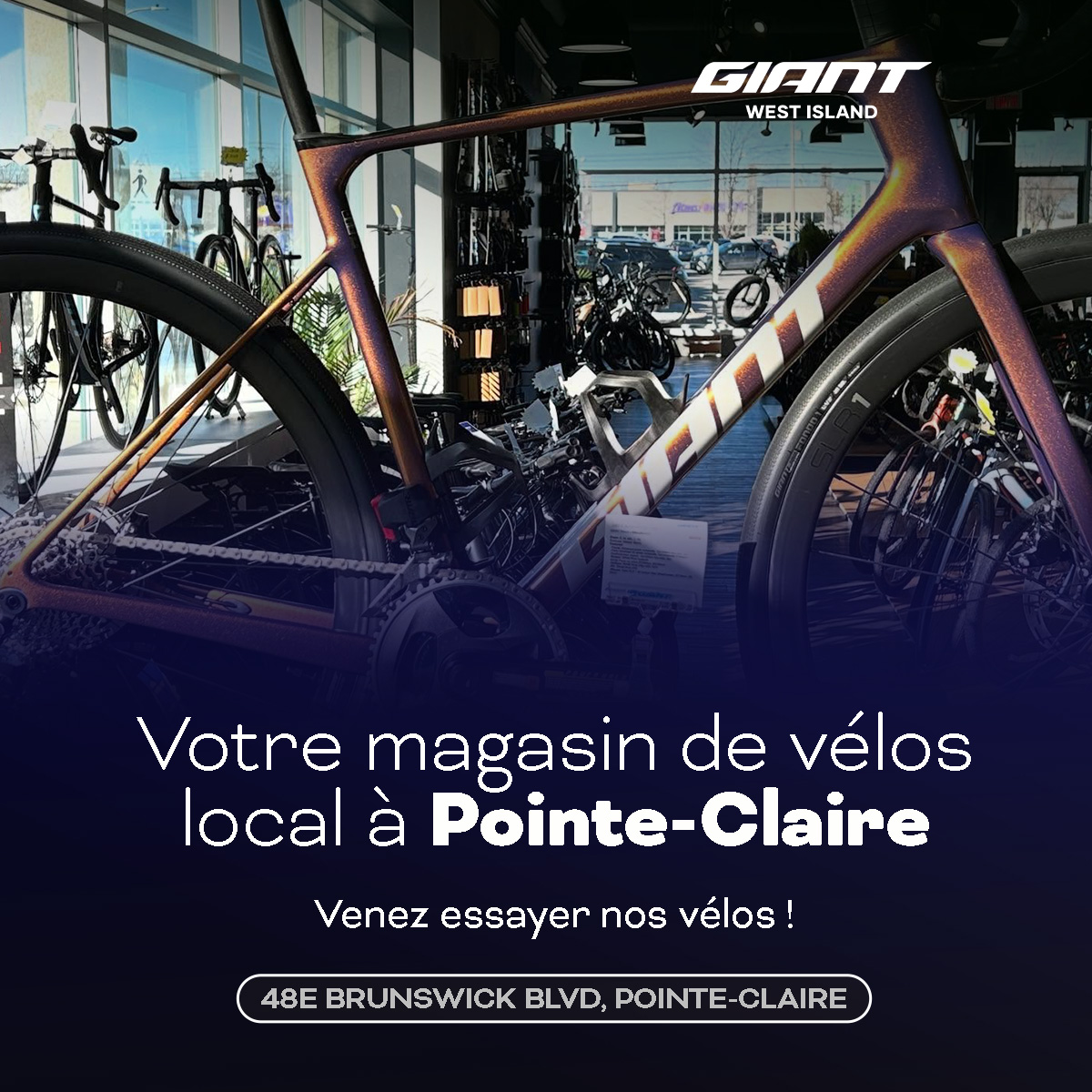 Giant West Island Facebook ad: À la recherche d’un nouveau vélo?